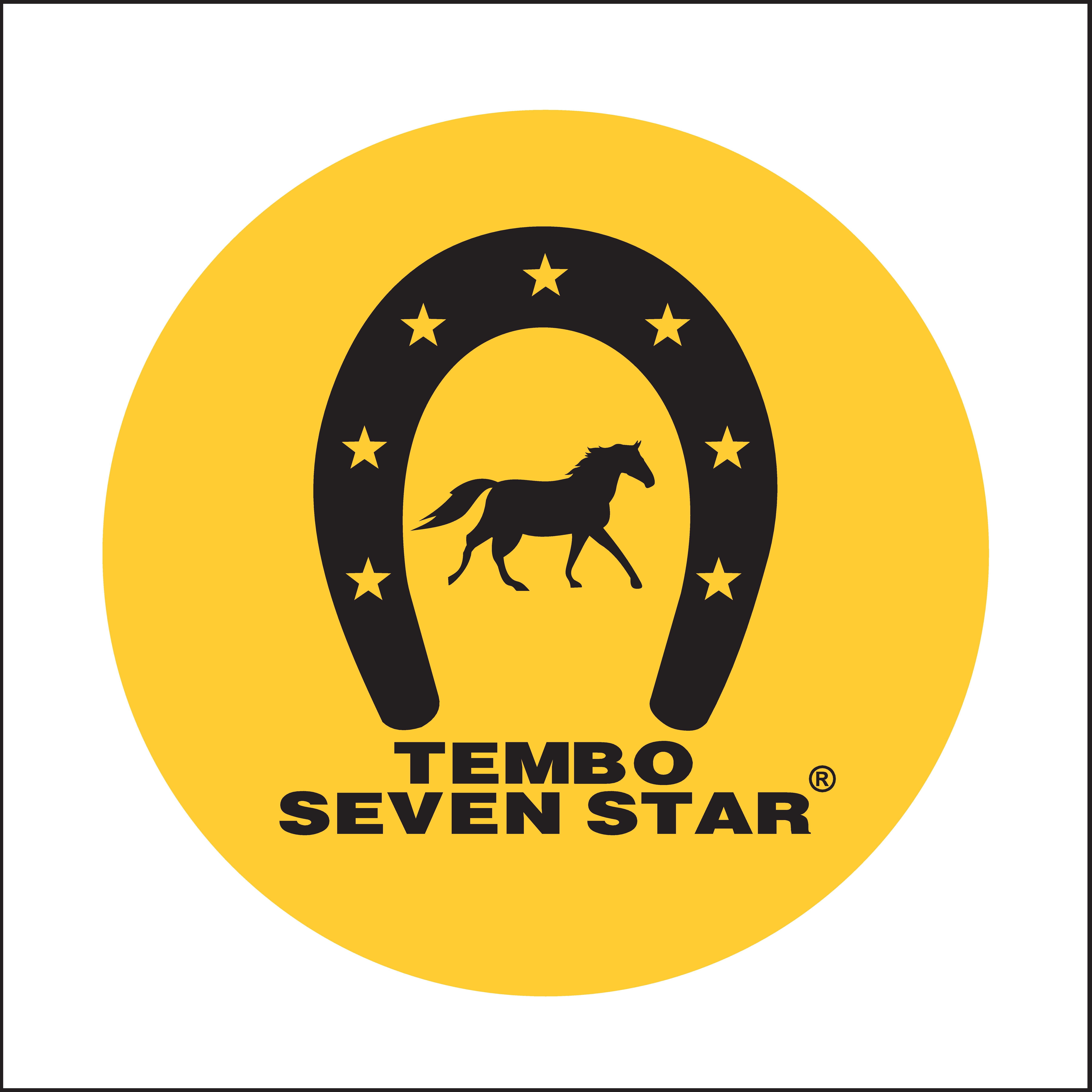 Tembo